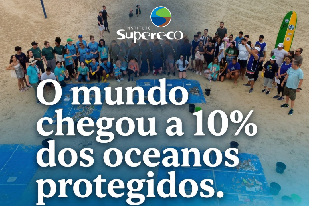 Do Marco Global à Ação Local: Como o Instituto Supereco Impulsiona a Proteção dos Oceanos